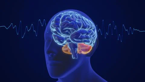 3D animation of the human brain intelligence and thinking with waves Stock Illustration