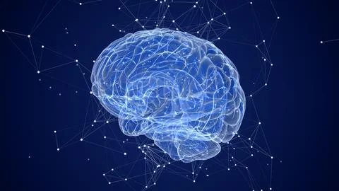 3D Animation of Human Brain with plexus Stock Illustration