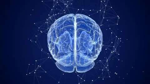 3D Animation of Human Brain with plexus Stock Illustration