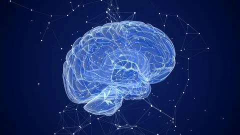 3D Animation of Human Brain with plexus Stock Illustration