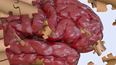 A 3d animation of human brain, presented as a complex puzzle. Stock Footage 311905978