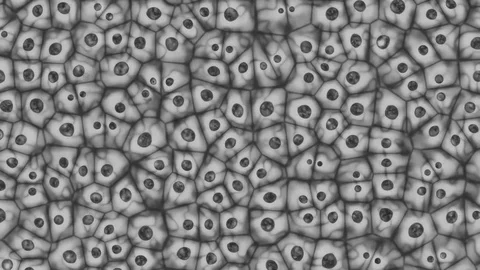 3D animation of the human cell fighting against the Covid-19 Stock Footage 127865807