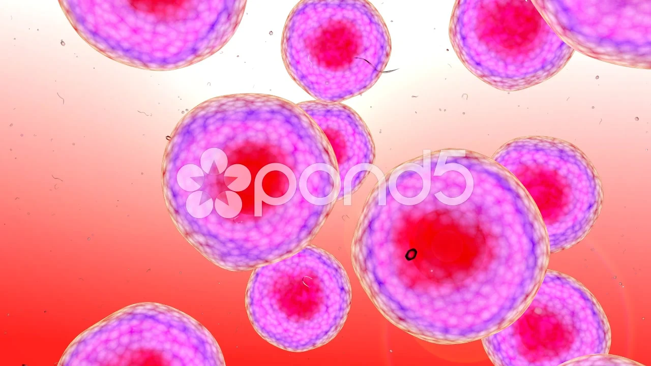 3D animation of human cells Under The Mi... | Stock Video | Pond5