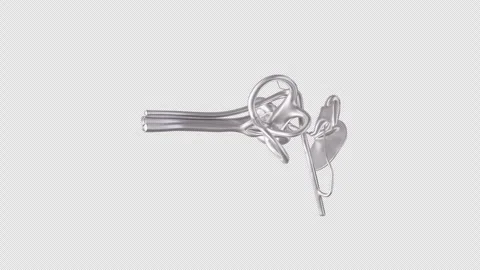 3D Animation of Human Inner Ear Structure Stock Footage 307010292