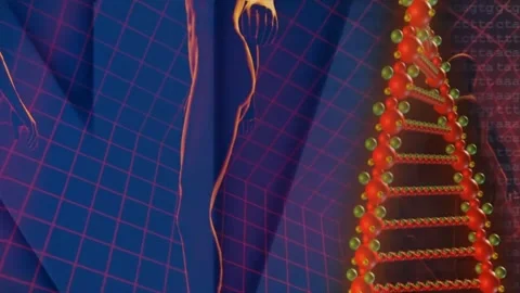 3D Animation of Human Life Cycle with DNA Double Helix Stock-Footage 338006026