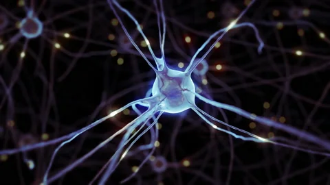 3d animation of the human nervous system... | Stock Video | Pond5