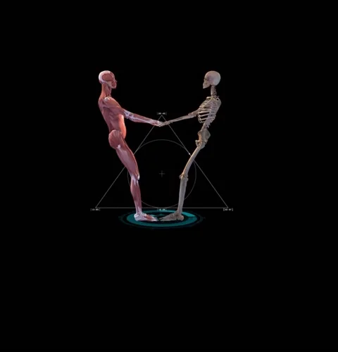 3d animation of human skeleton 動画素材 237146833