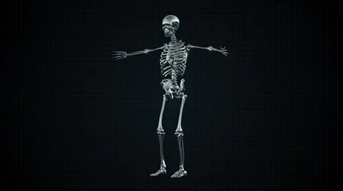 3D Animation of Human Skeleton Silver Loopable. Alpha matte 스톡 동영상 45657195