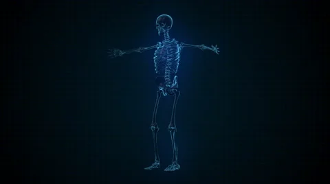 3D Animation of Human Skeleton x-ray blue interface Loopable. Alpha matte Stock Footage 45657262