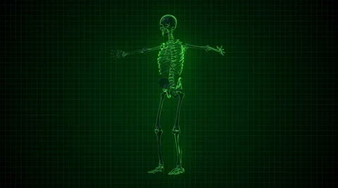 3D Animation of Human Skeleton x-ray green interface Loopable. Alpha matte Stock-Footage 45657280
