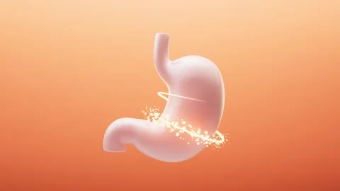 A 3d animation of human stomach on orange background, digestion process, st.. Video stock 332148990