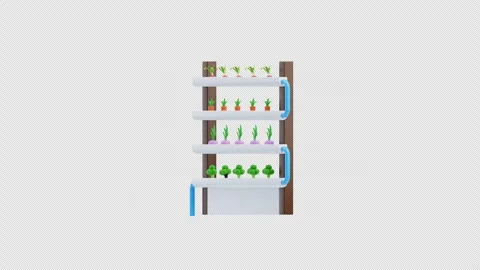 3d animation of hydroponic farm shelves with growing vegetables Stock Footage 333077951