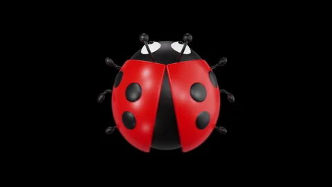 3D Animation of Ladybug, Color Key, Alpha Channel Stock Footage 277005825