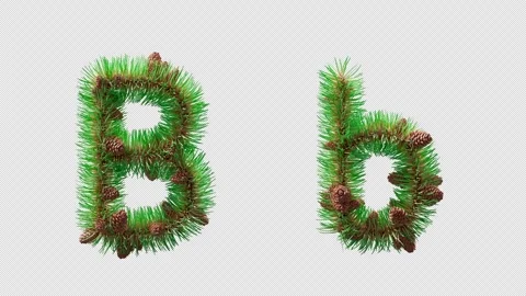 3D animation of letter B made of pine needles and cones, alpha channel. Stock Footage 317497202