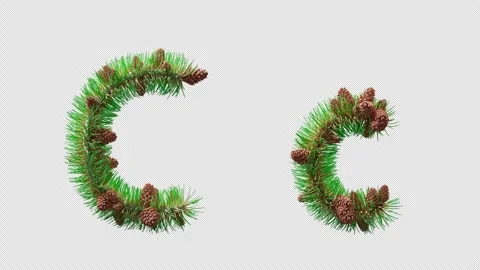 3D animation of letter C created from pine needles with cones, alpha channel. Stock Footage 317497230