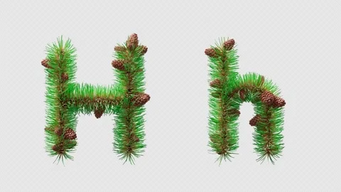 3D animation of letter H styled with pine needles and cones, alpha channel. Stock Footage 317499119