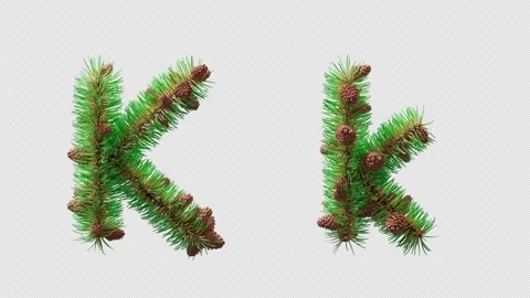 3D animation of letter K created with pine needles and cones, alpha channel. Stock Footage 317499634
