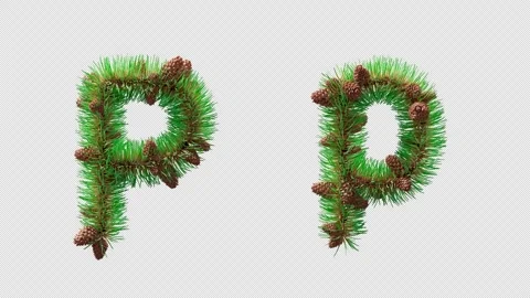 3D animation of letter P built from pine needles and cones. Alpha Channel. Stock Footage 318349109