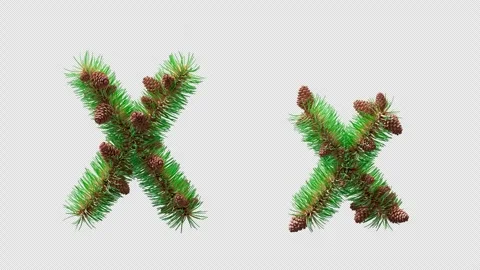 3D animation of letter X created with pine needles and cones. Alpha Channel. Stock Footage 318351876