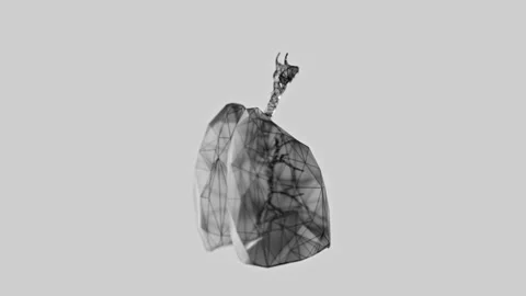 3d animation of a low-poly lungs turn-table over white background Stockbeeldmateriaal 316211224