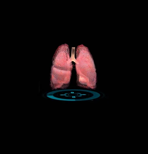 3d animation of lung trachea Stock Footage 237147035