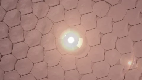 3D Animation Magic Serum through the skin layer and reduce up saggy skin of the  Stock Footage 197952475