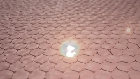 3D Animation Magic Serum through the skin layer and reduce up saggy skin of the  Stock Footage 197953991