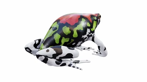 3d animation of Malagasy Rainbow Frog Video stock 241261272