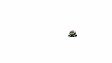 3d animation of Malagasy Rainbow Frog Video stock 241261282