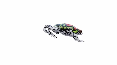 3d animation of Malagasy Rainbow Frog Video stock 241261290