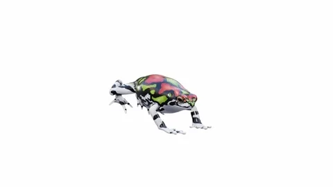 3d animation of Malagasy Rainbow Frog Video stock 241261291