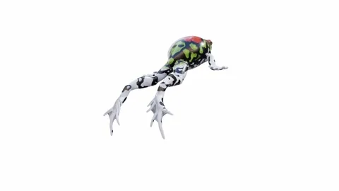 3d animation of Malagasy Rainbow Frog Stock Footage 241261295