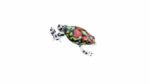 3d animation of Malagasy Rainbow Frog Stock Footage 241261298
