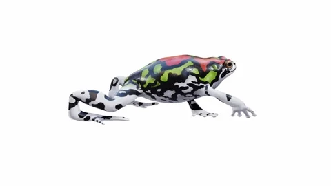 3d animation of Malagasy Rainbow Frog Video stock 241261306