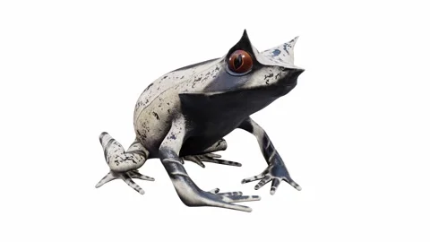 3d animation of Malayan Horned Frog Stock Footage 241261166
