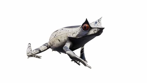 3d animation of Malayan Horned Frog Stock Footage 241261223