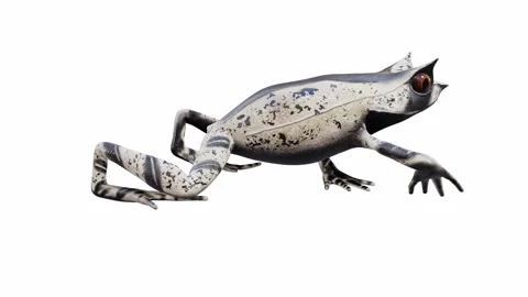 3d animation of Malayan Horned Frog Video stock 241261231