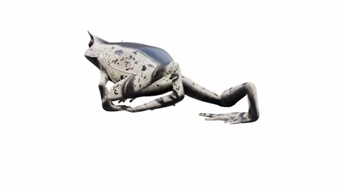 3d animation of Malayan Horned Frog Stock Footage 241261234