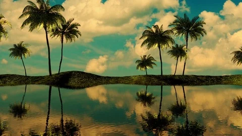 3d animation. Maldives, palm trees and the ocean Video stock 114510166