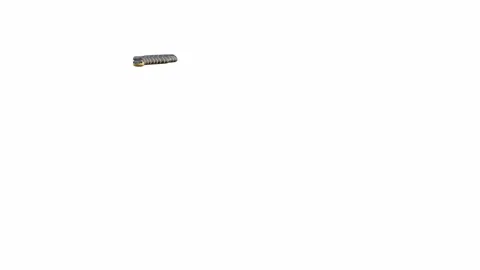 3d animation of Mangrove Snake Stock Footage 241259165