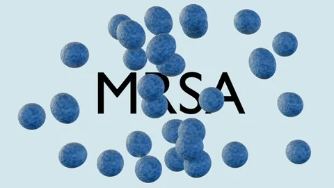3d animation of methicillin-resistant Staphylococcus aureus Stock-Footage 271017593