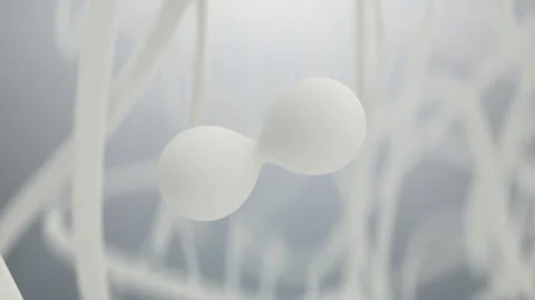 3D animation molecule macro atom cell Serum Liquid Cream ,Collagen Clear Crystal 動画素材 242141384