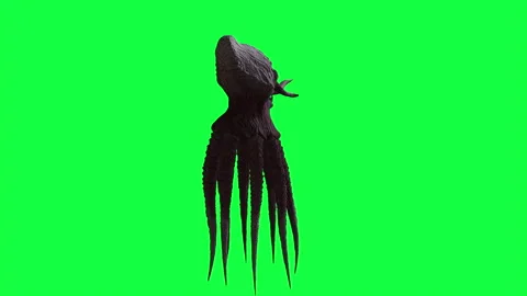 3d animation of Monster Octopus on green screen Stock Footage 146209429
