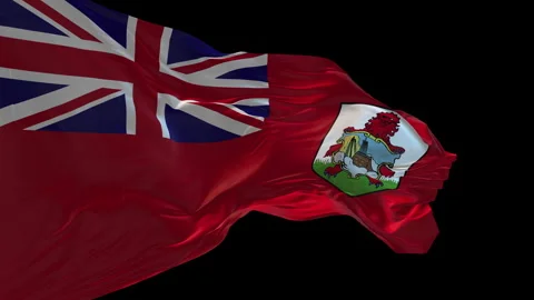 3d animation of the national flag of Bermuda waving in the wind. Stock Footage 265160603