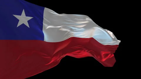 3d animation of the national flag of Chile waving in the wind. Stock Footage 271325813