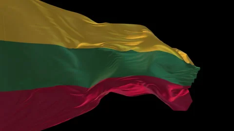 3d animation of the national flag of Lithuania waving in the wind. Stock Footage 272393150