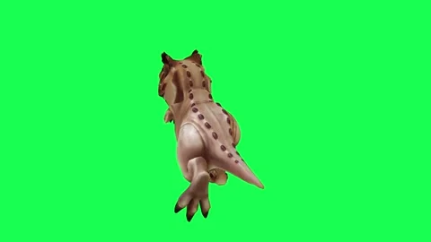 3D animation of a nervous dinosaur from the front view of a Chromakey green scre Stock Footage 245358360