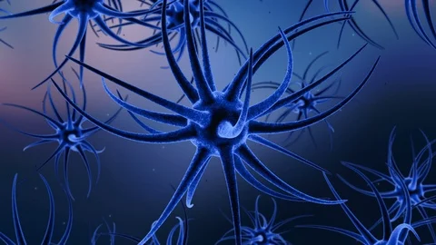 3D animation network of human nervous system Stock Footage 75339560