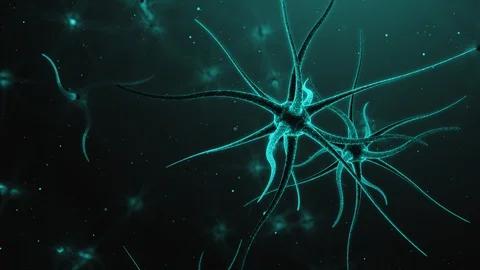 3d Animation of Neurons in the Brain 스톡 동영상 123803639
