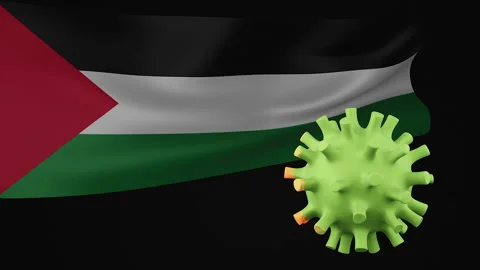3D animation of Palestine flag of the disappearance of the covid virus Stock Footage 172461136